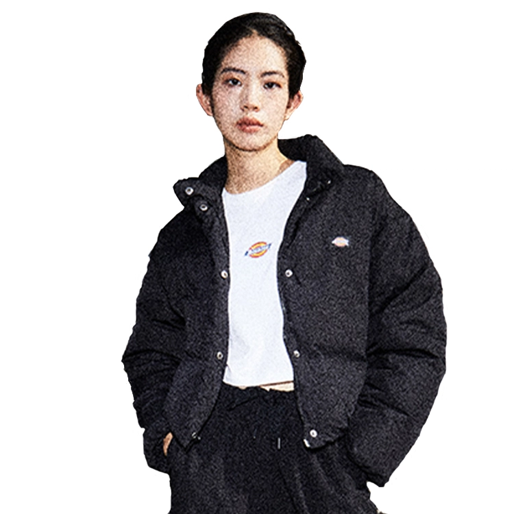 Dickies DK0A87CABLK