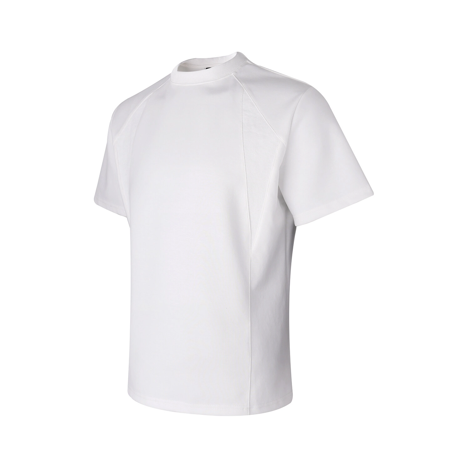 PAINT STAIN T