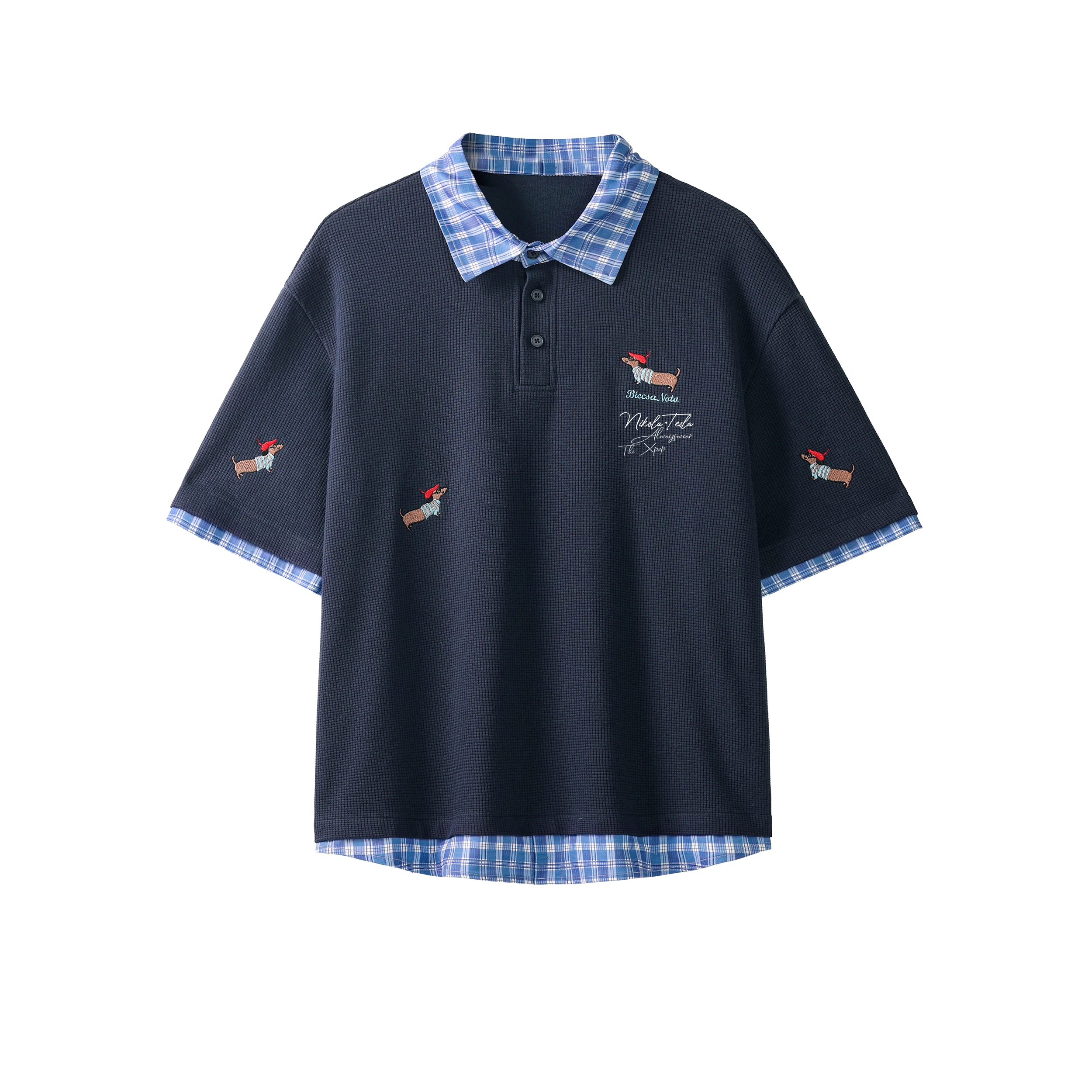 WELTER EXPERIMENT Polo