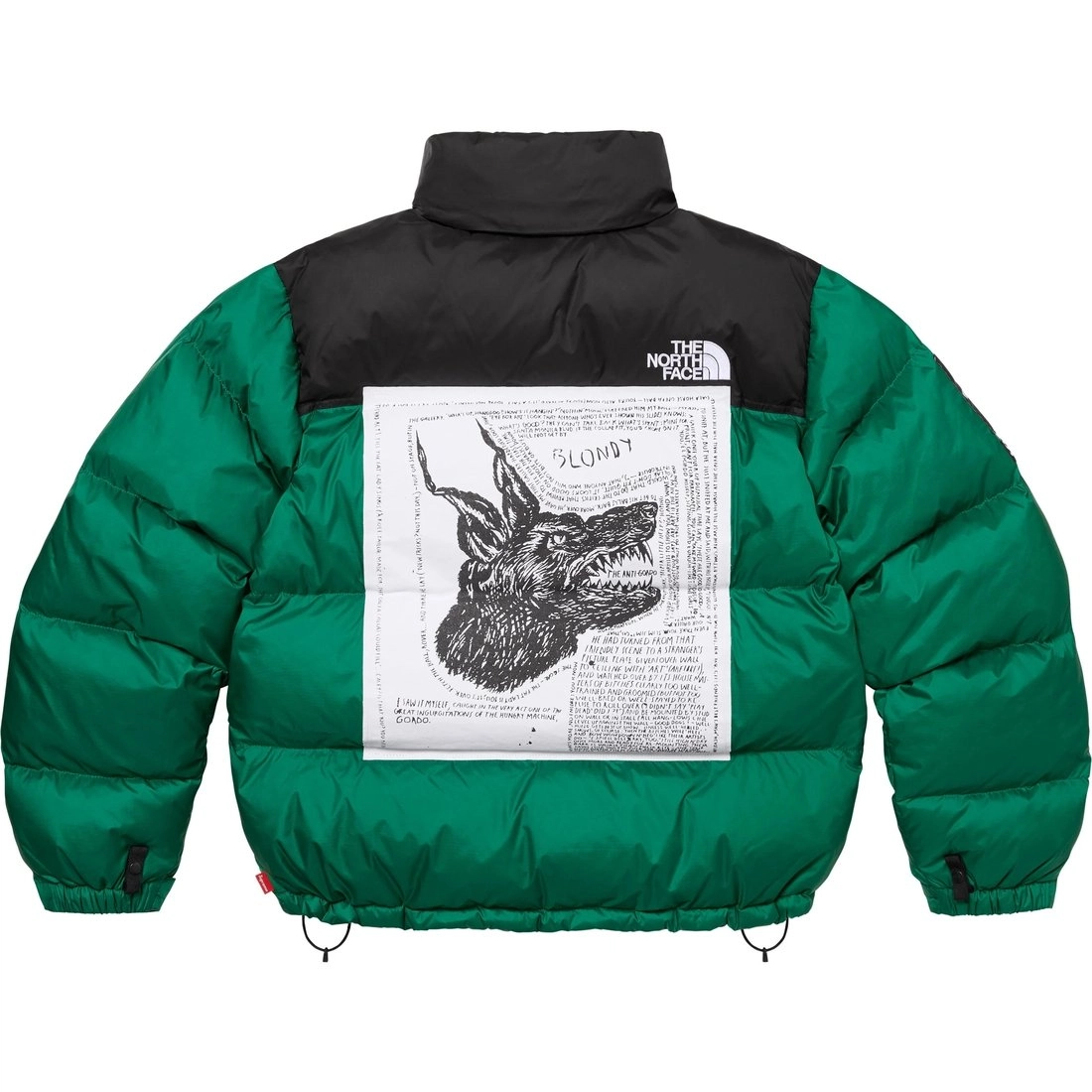 Supreme x THE NORTH FACE FW24 WEEK9 logo