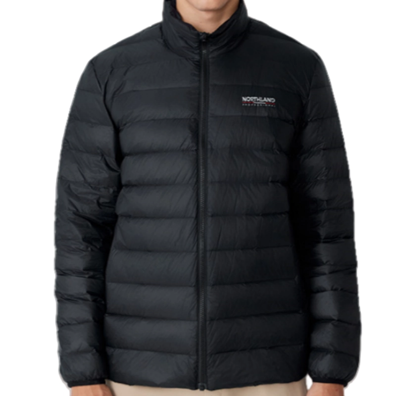 NORTHLAND PROFESSIONAL