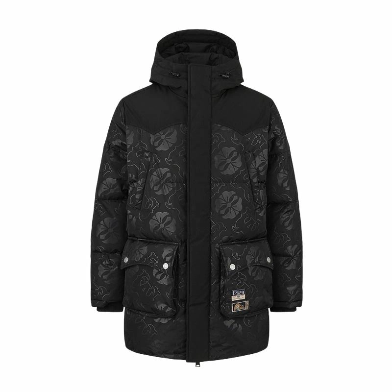 EVISU 2024