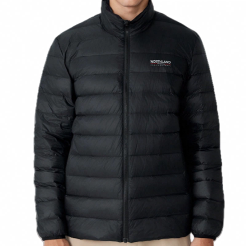 NORTHLAND PROFESSIONAL