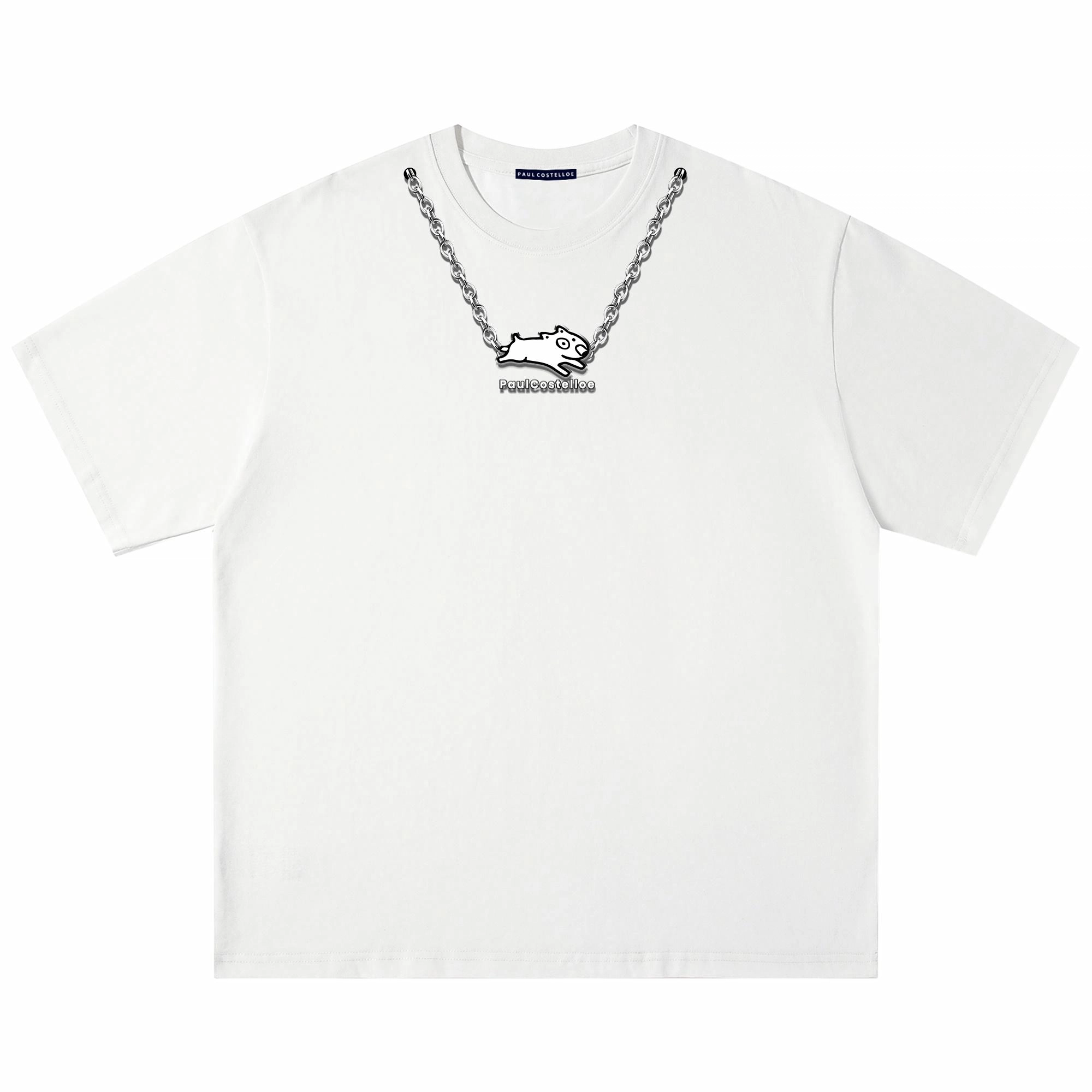 PAUL COSTELLOE logoT