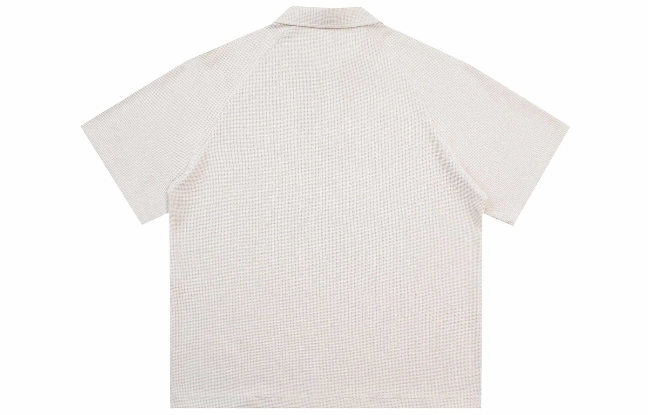 REXSHION LogoPolo