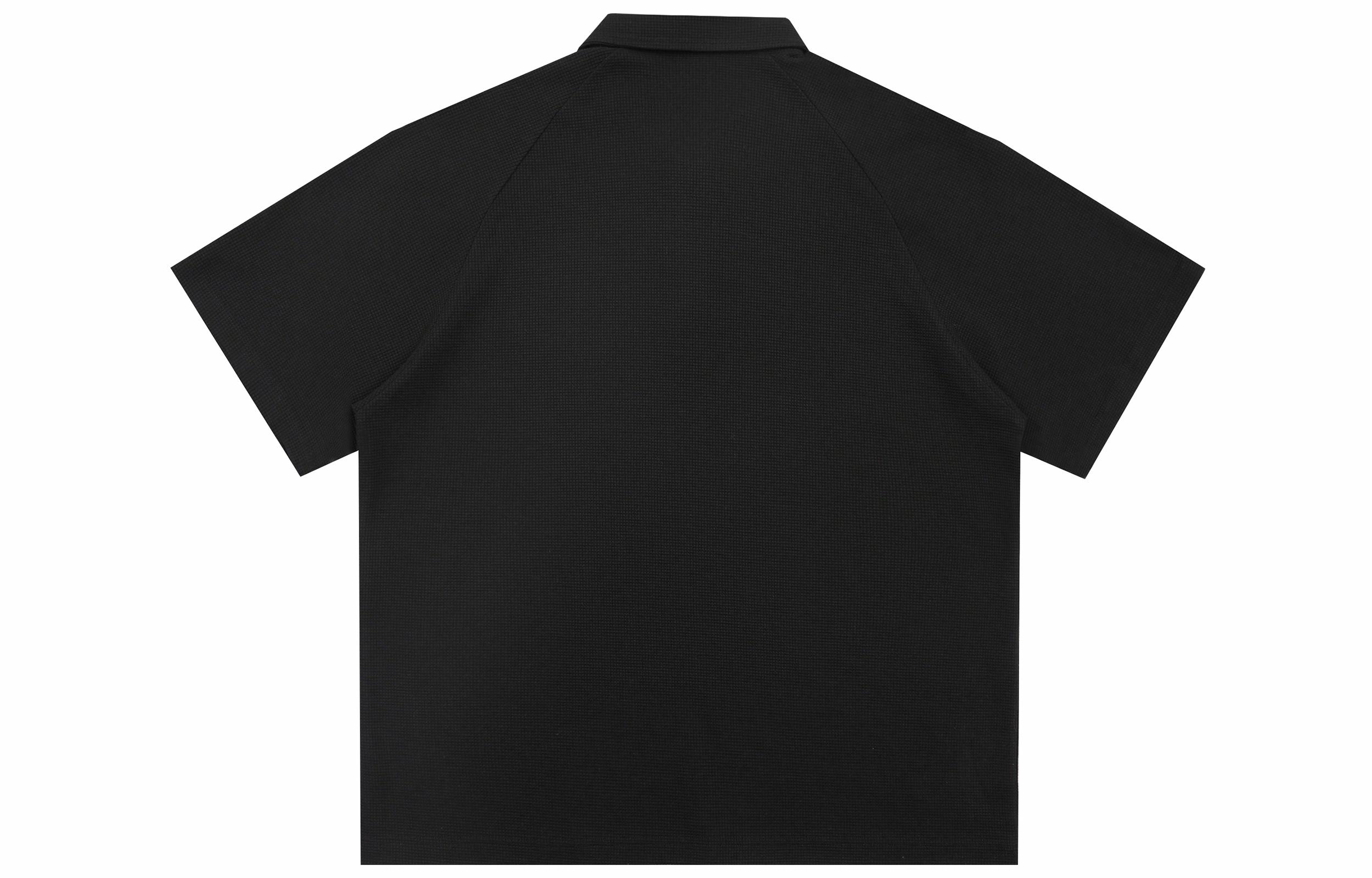 REXSHION LogoPolo