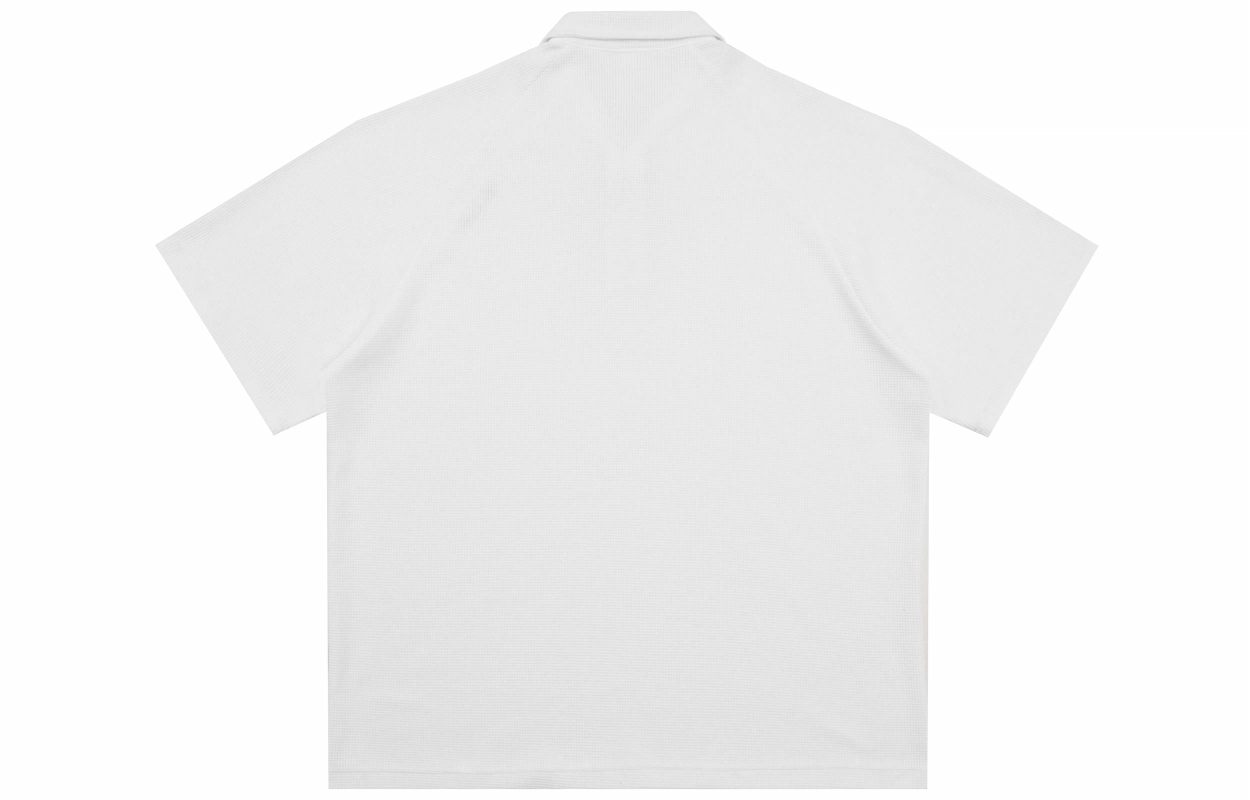 REXSHION LogoPolo