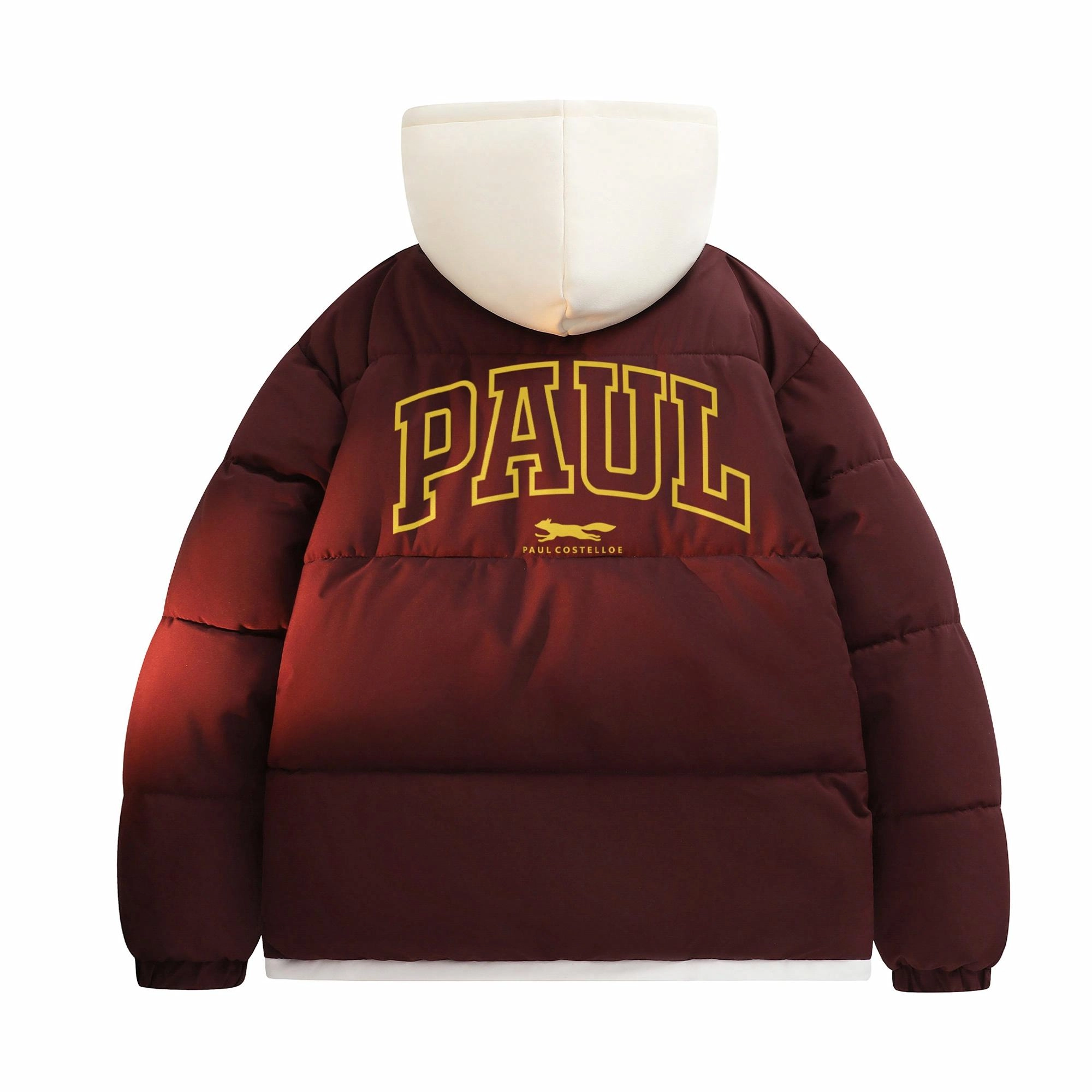 PAUL COSTELLOE Logo
