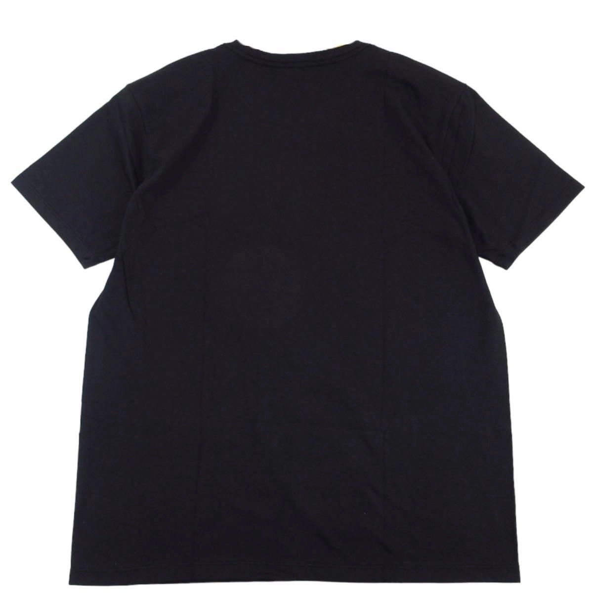 THE NORTH FACE PURPLE LABEL T