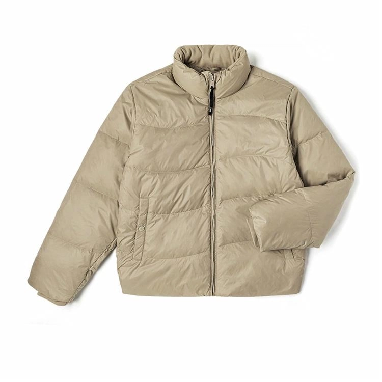 Lee FW24