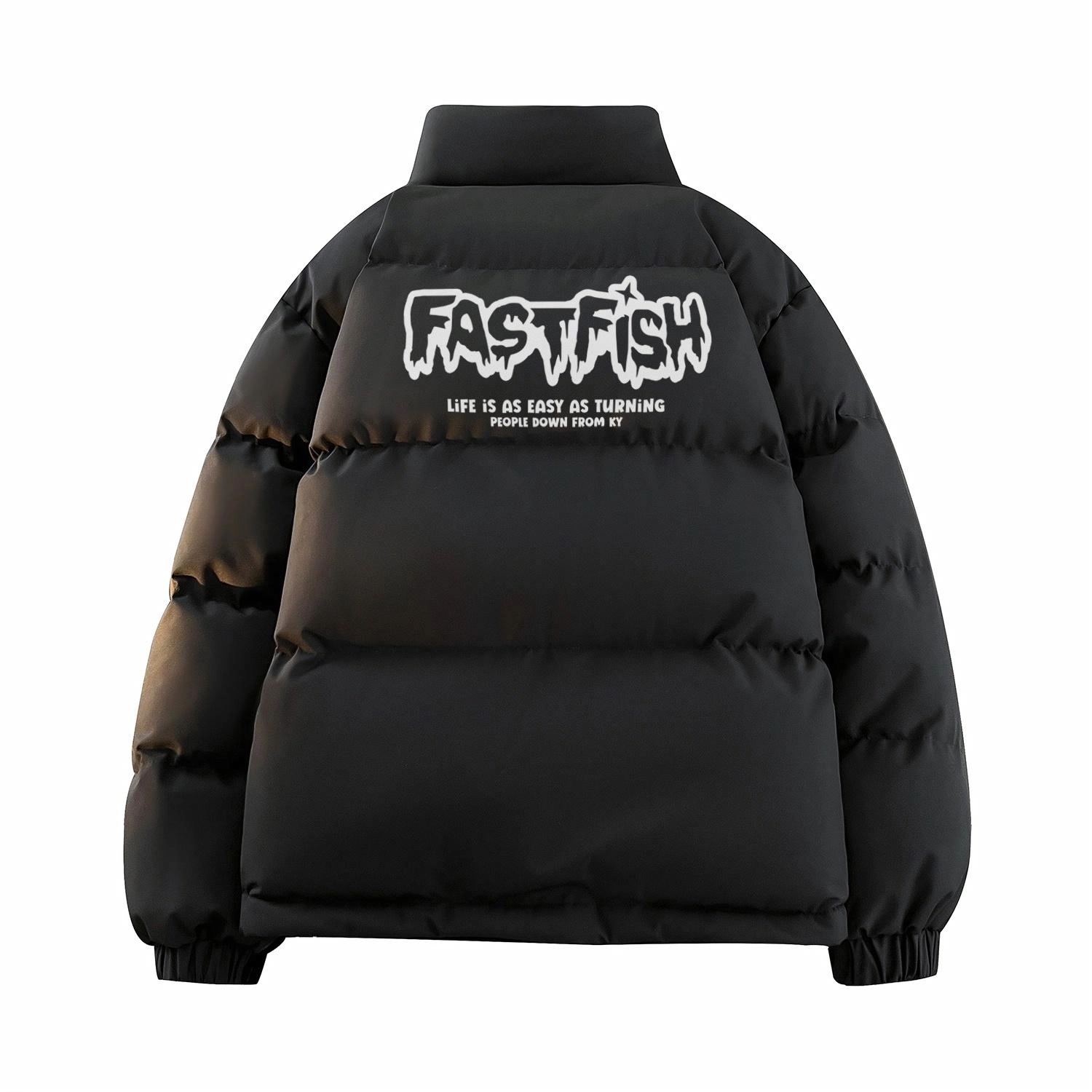 FASTFISH Logo