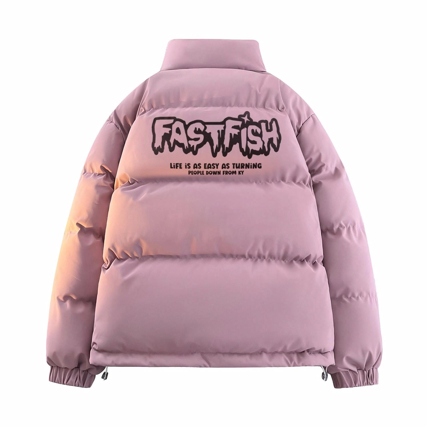 FASTFISH Logo