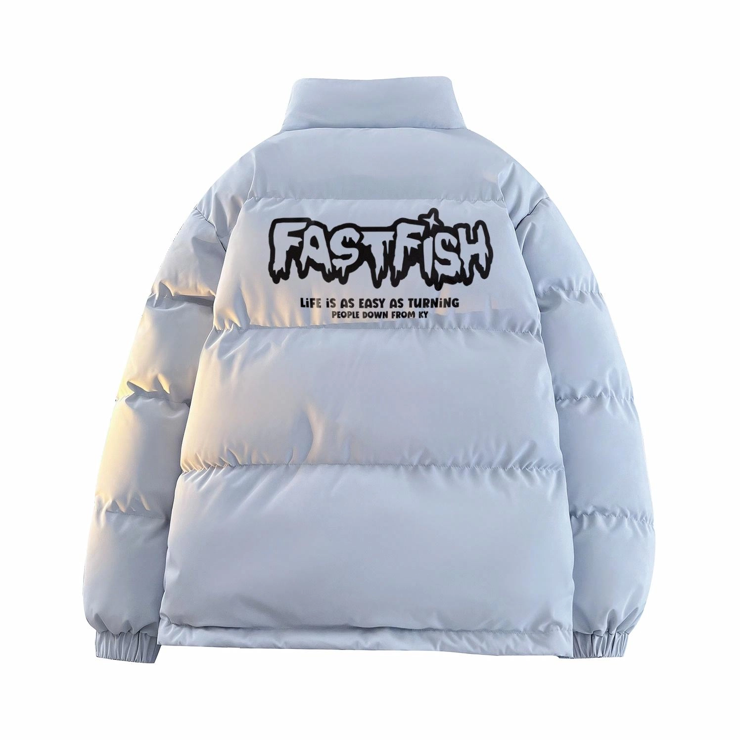 FASTFISH Logo