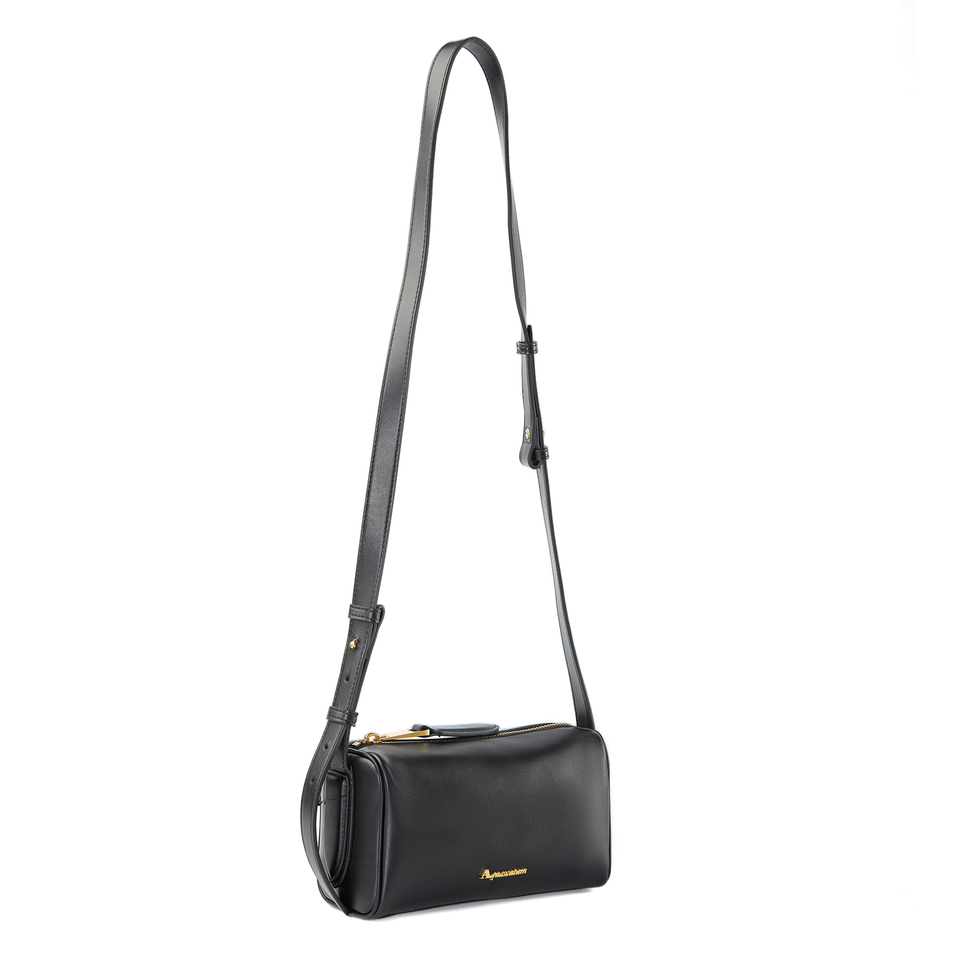 AQUASCUTUM