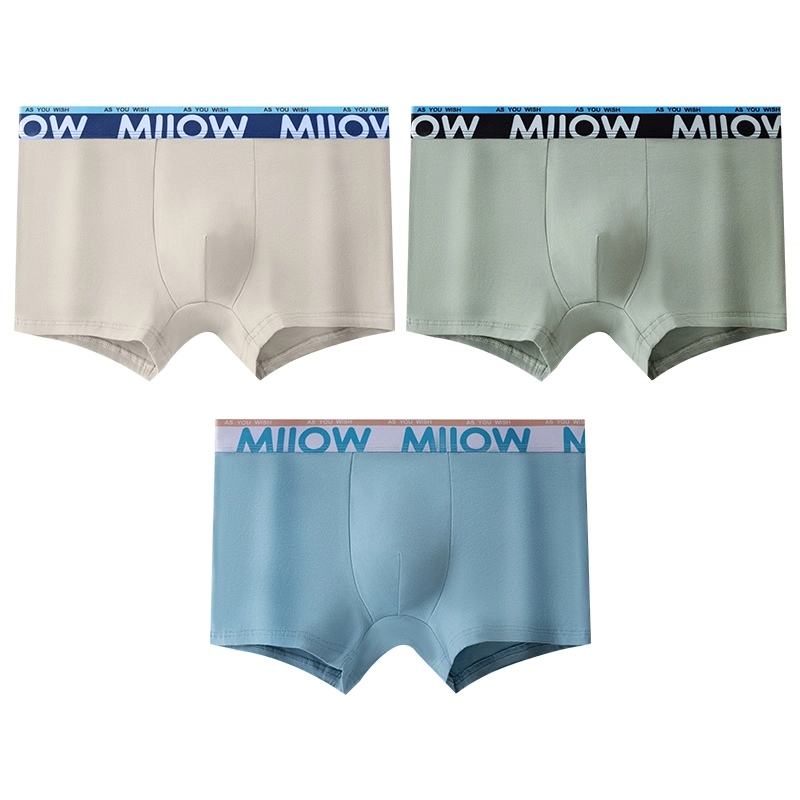 MIIOW 10Alogo 3