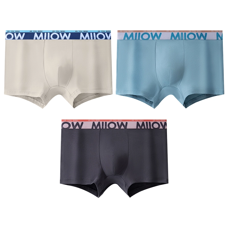MIIOW 10Alogo 3