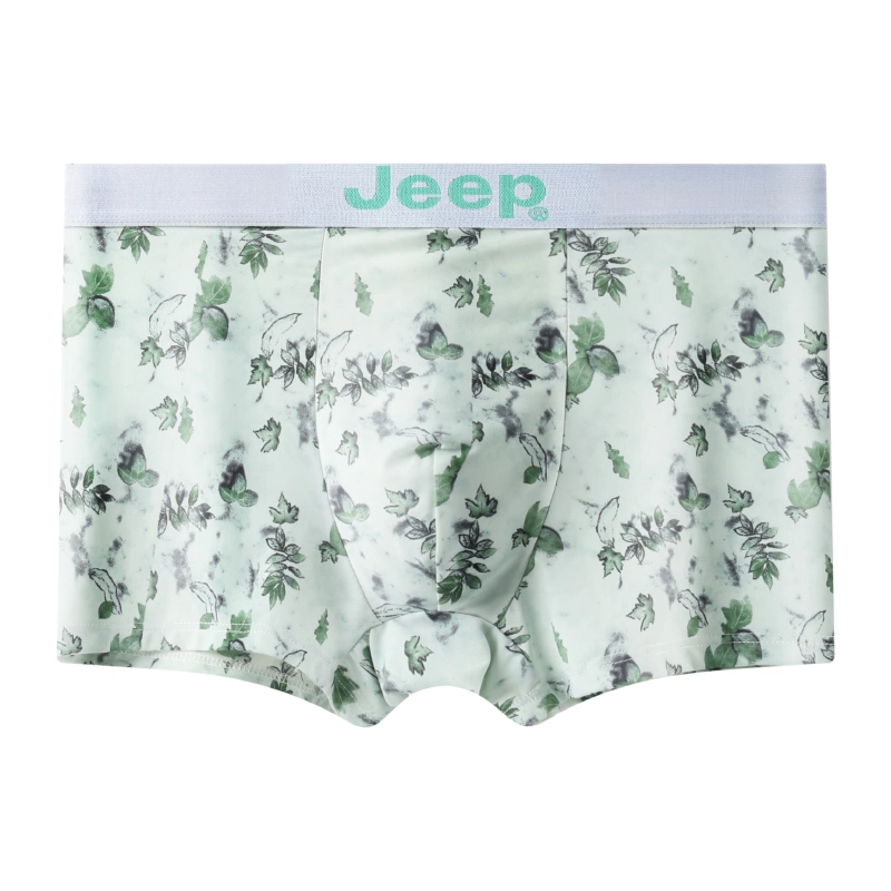 Jeep 1