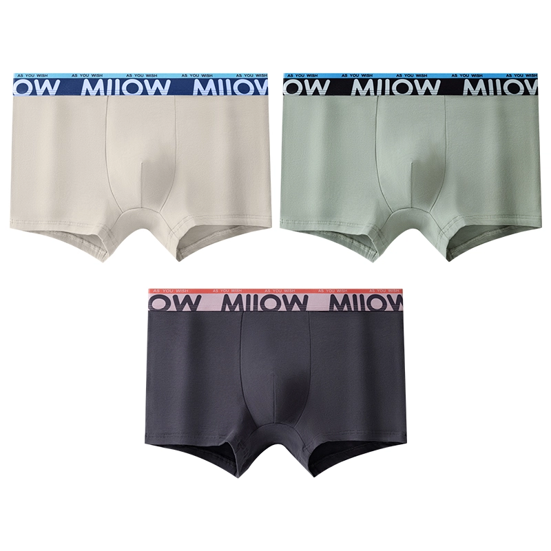 MIIOW 10Alogo 3