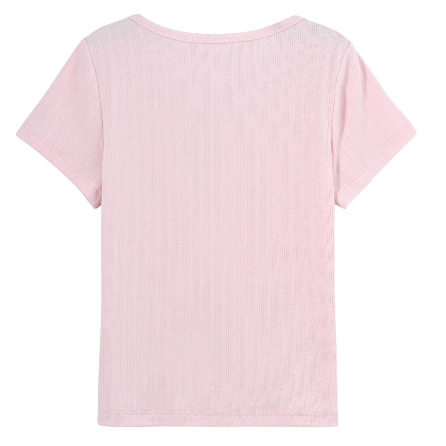 SNBL T