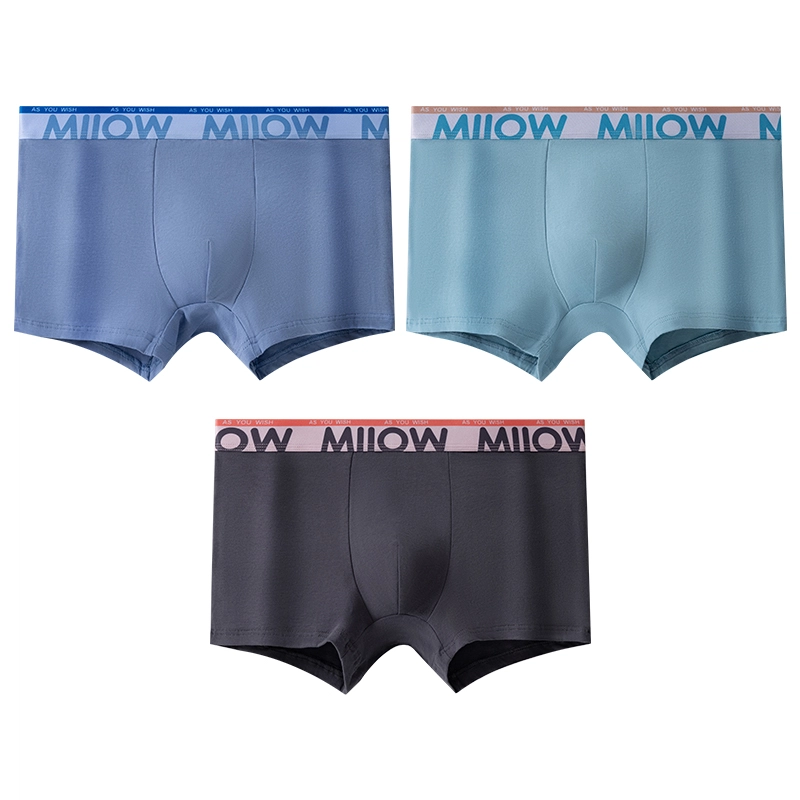 MIIOW 10Alogo 3