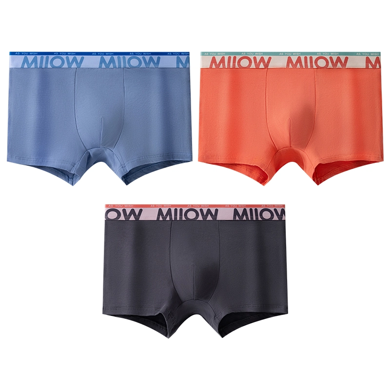 MIIOW 10Alogo 3