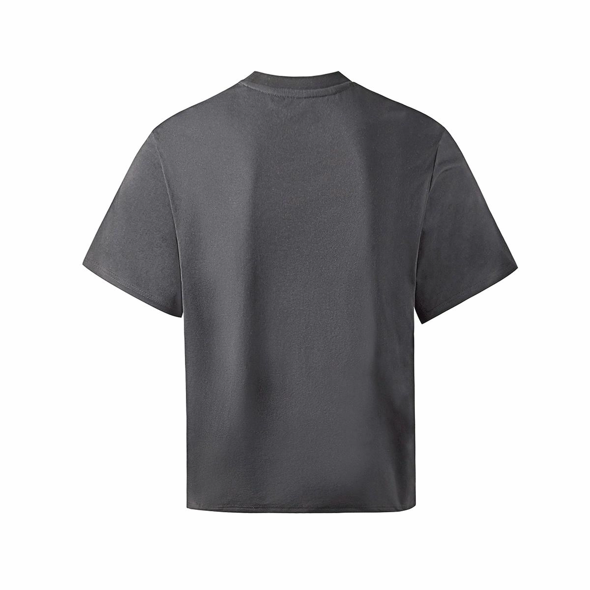 Hansca T