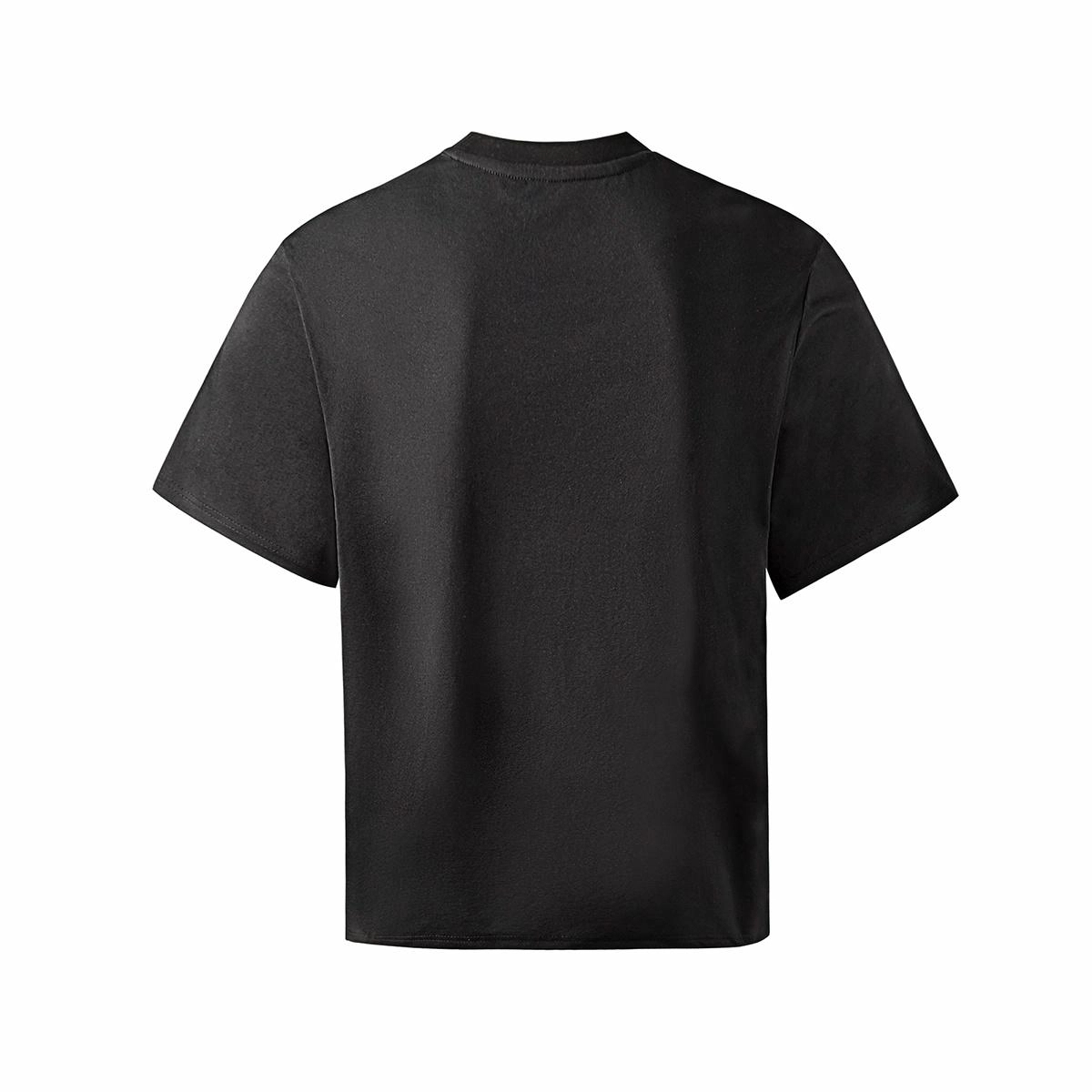 Hansca T