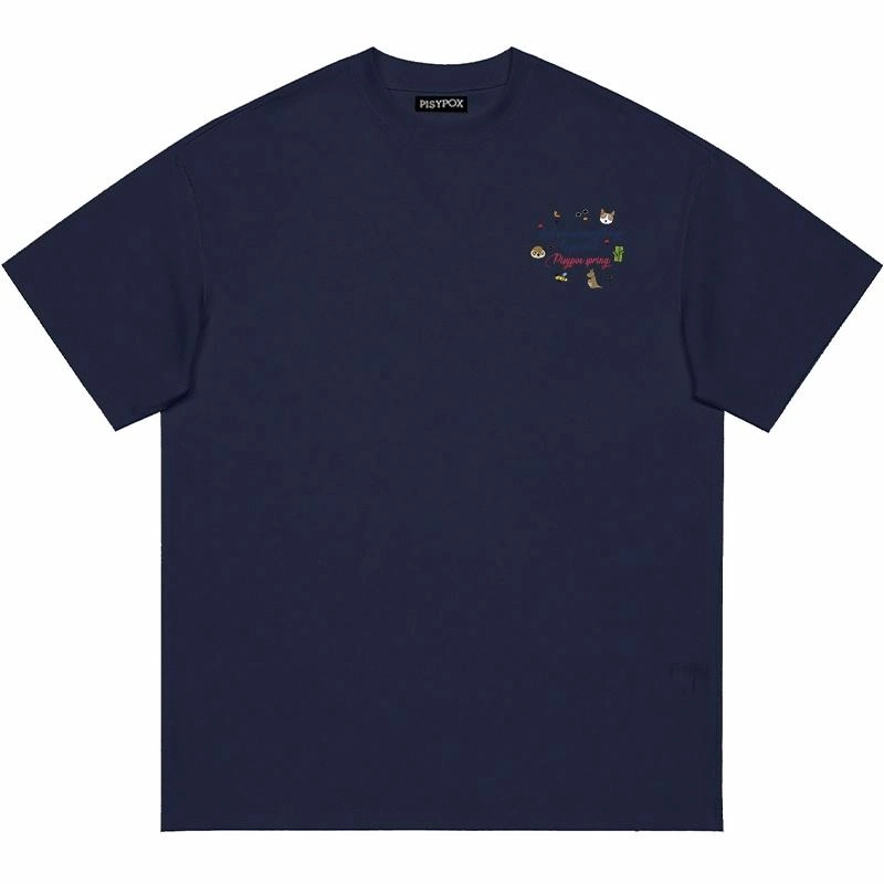 PISYPOX T