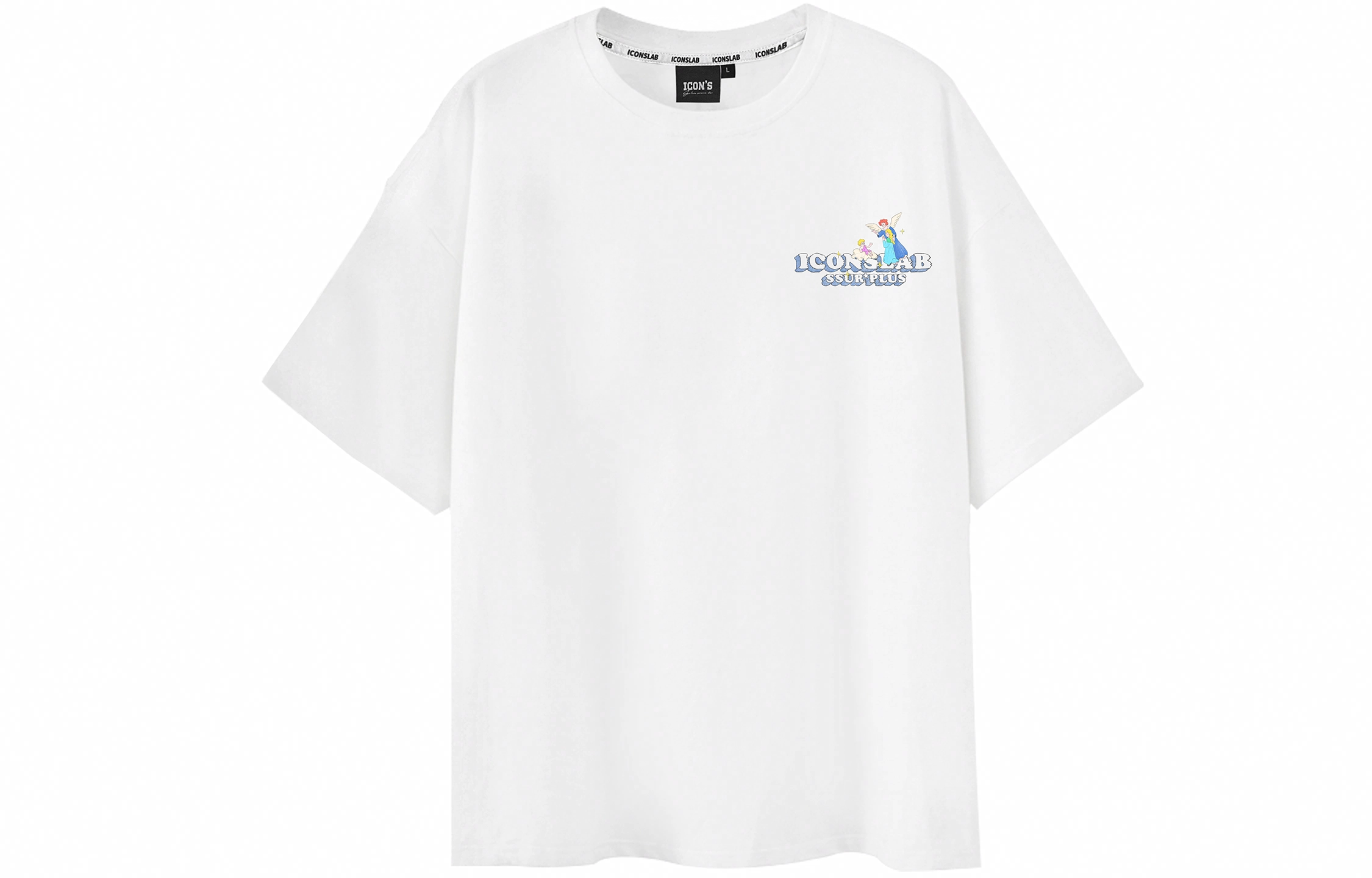 ICONS Lab Lab T