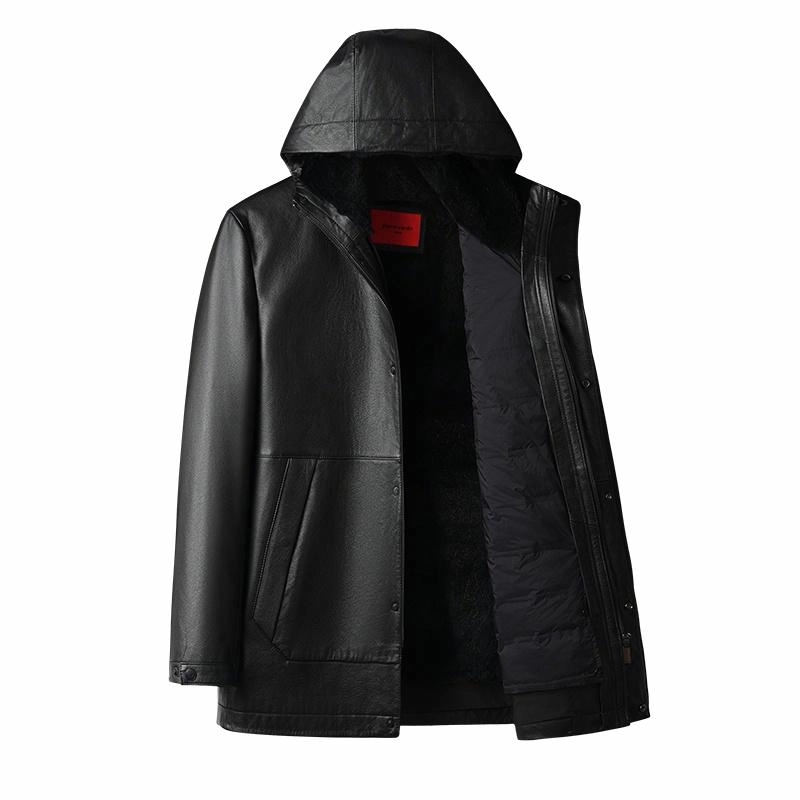 PIERRE CARDIN