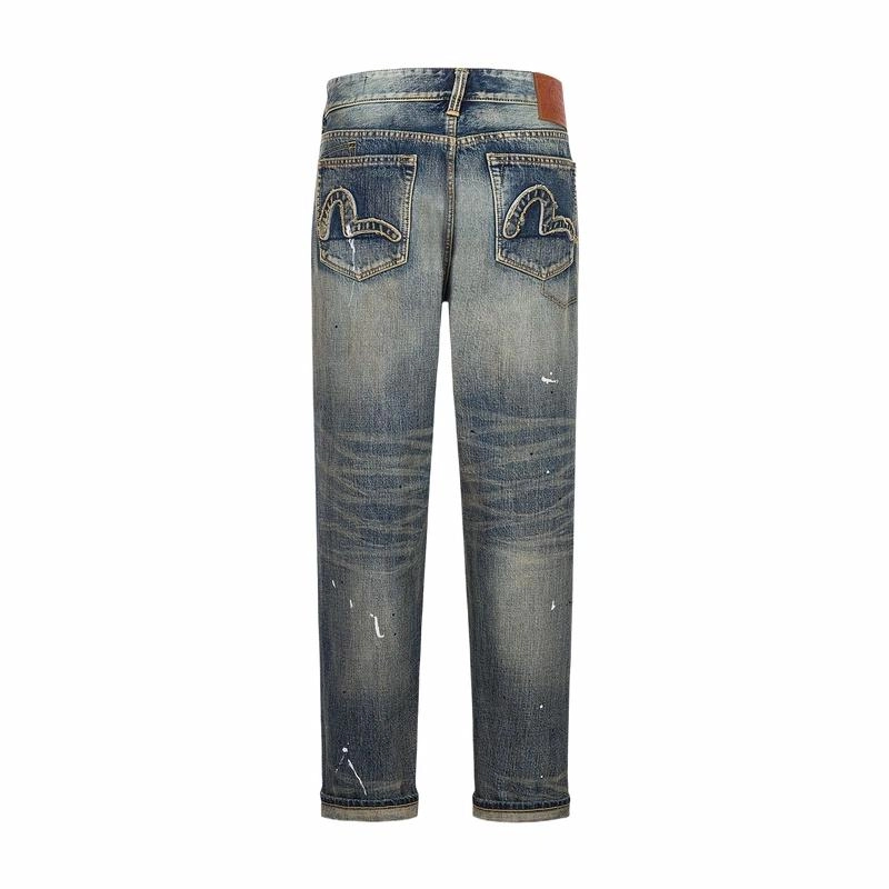 EVISU 2025