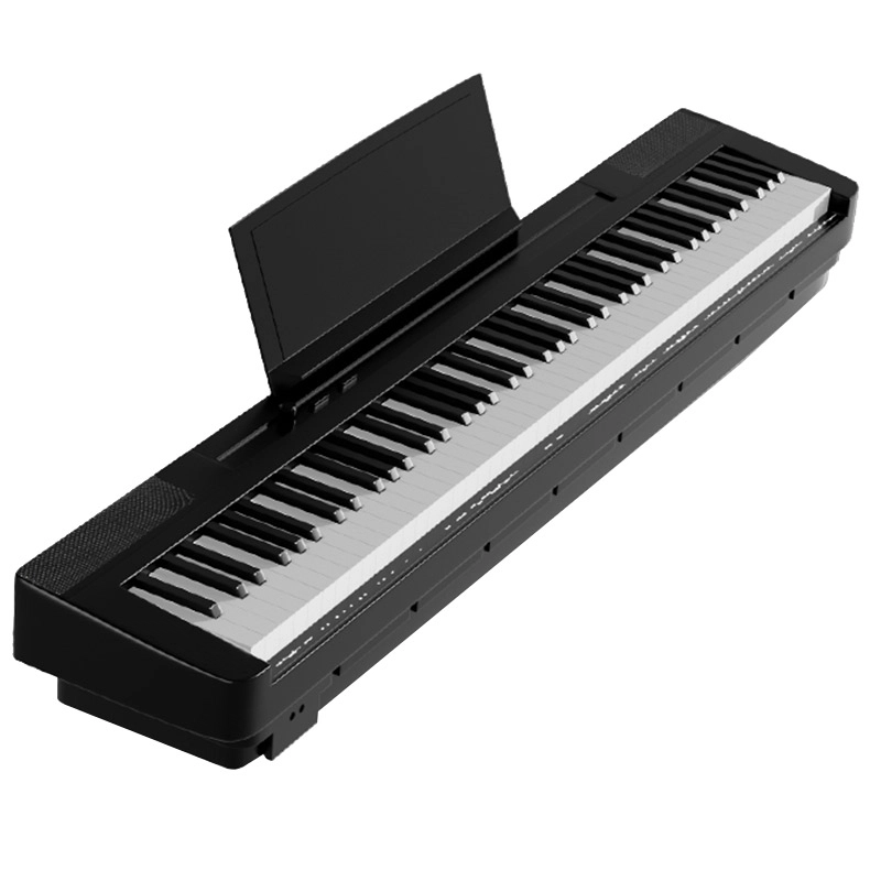 MS-210P 88