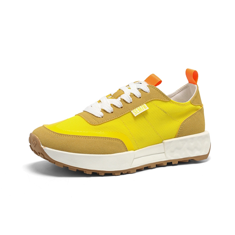 SEMIR
