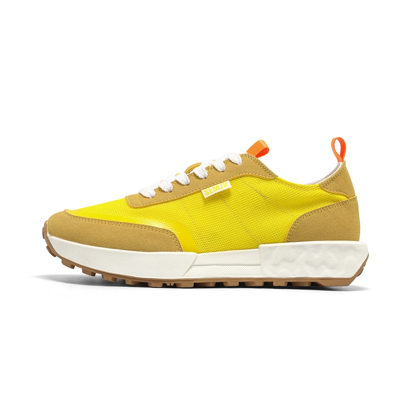 SEMIR