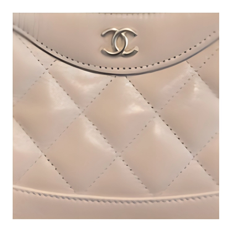 CHANEL 25P 31bag nano