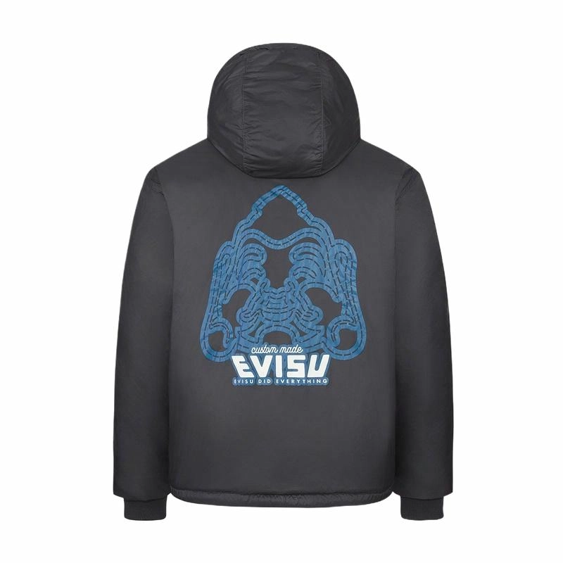 EVISU 2024