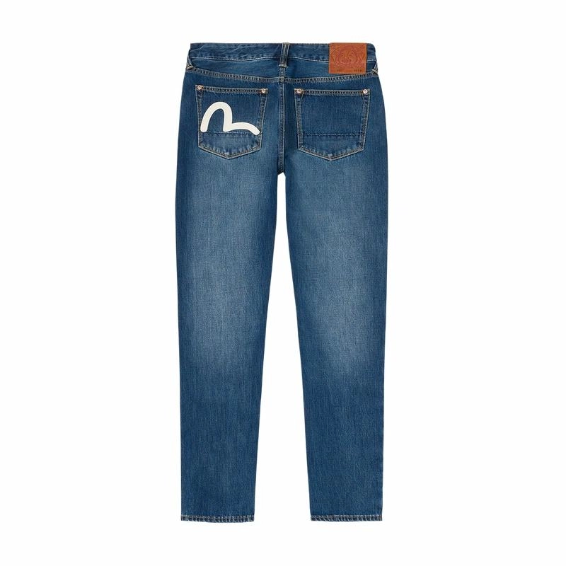 EVISU 2025