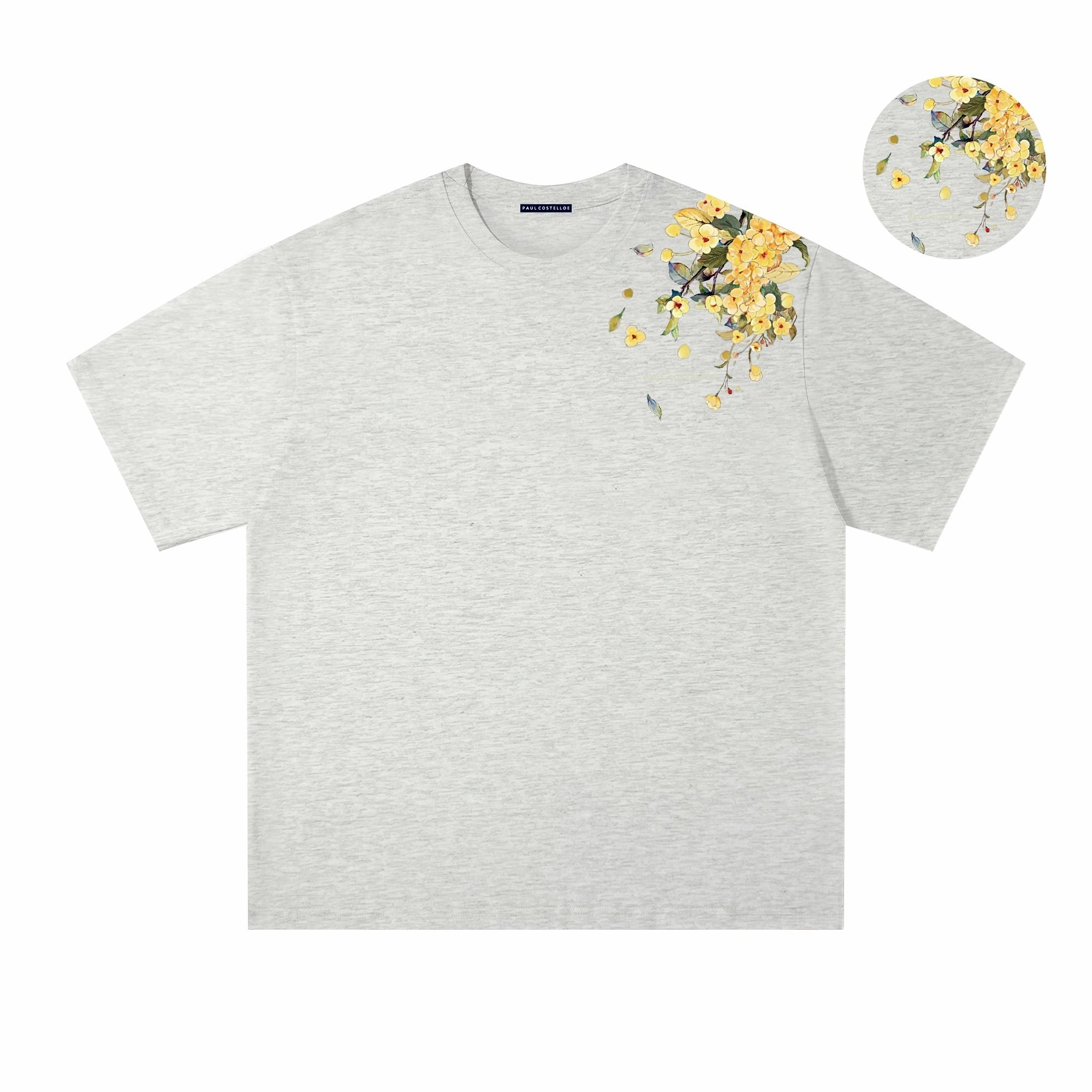 PAUL COSTELLOE T