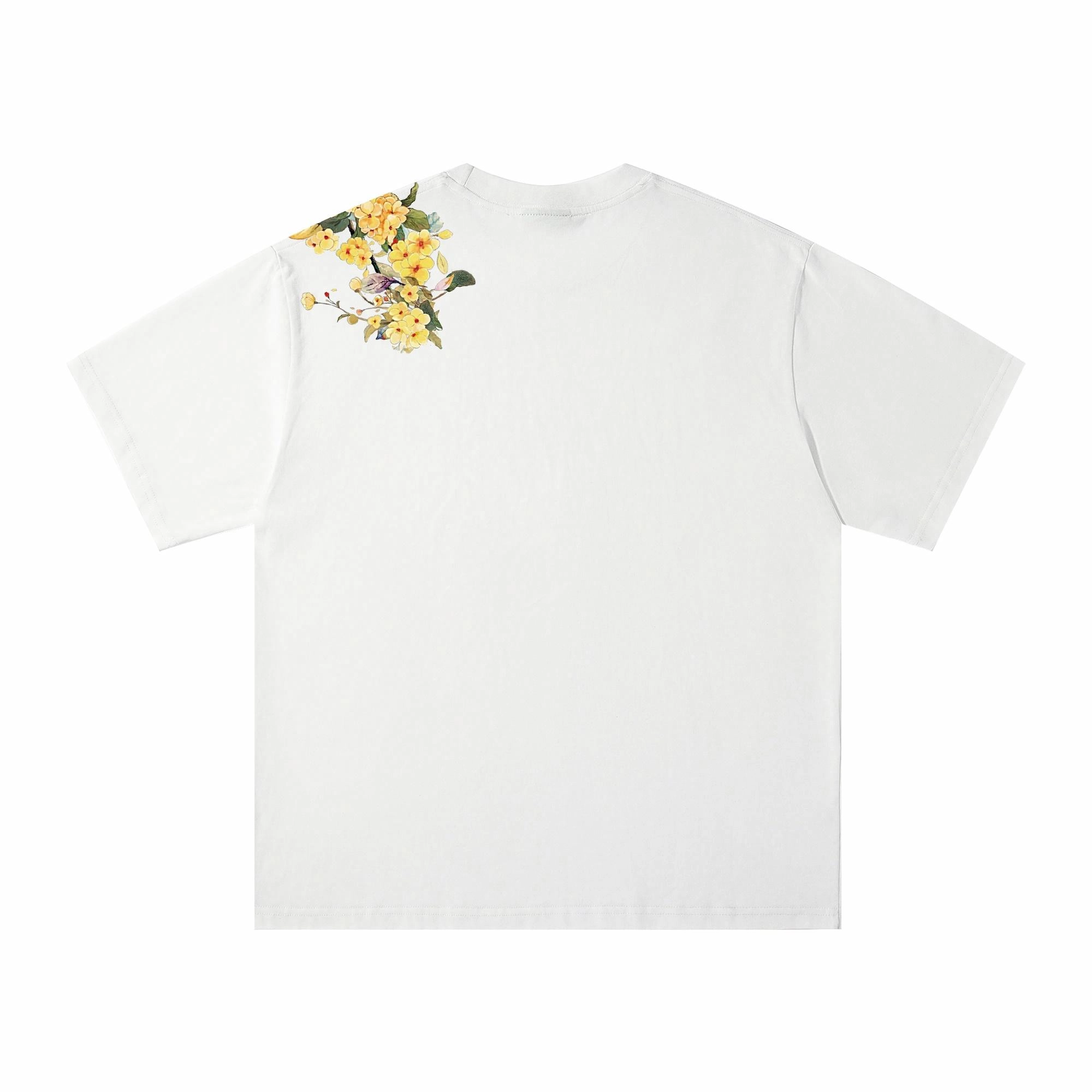 PAUL COSTELLOE T