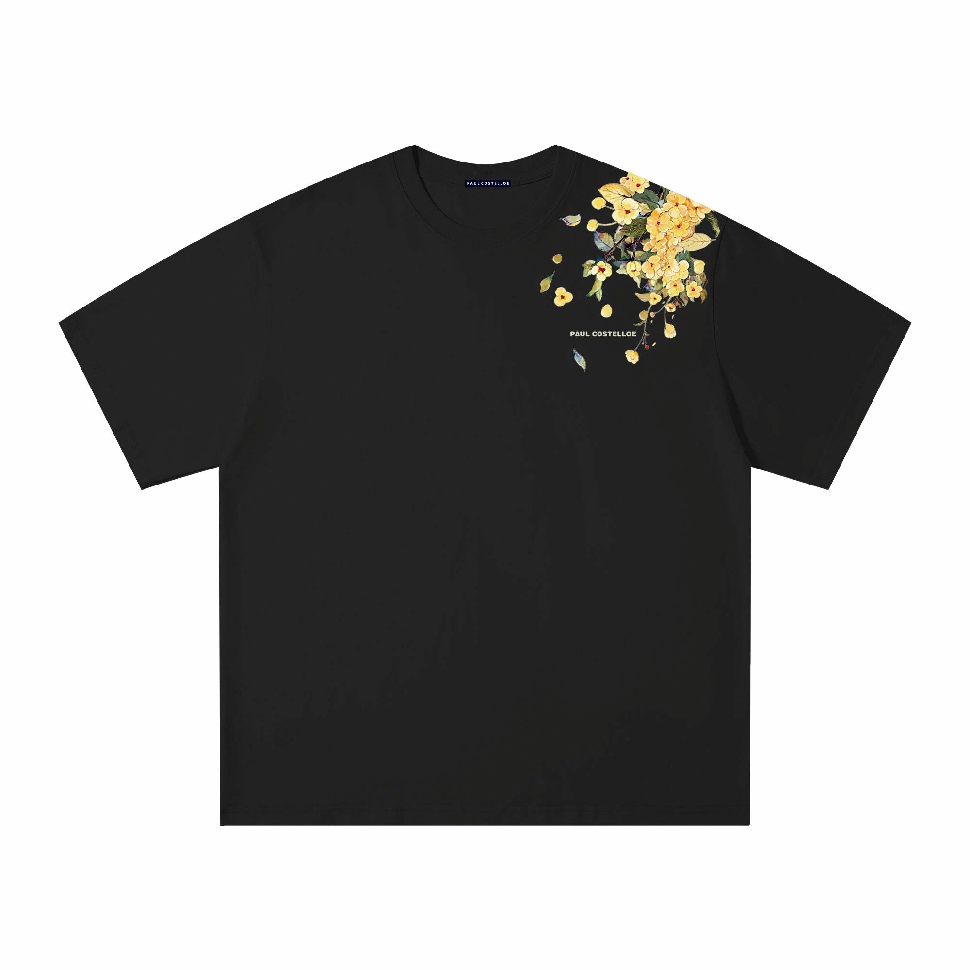 PAUL COSTELLOE T