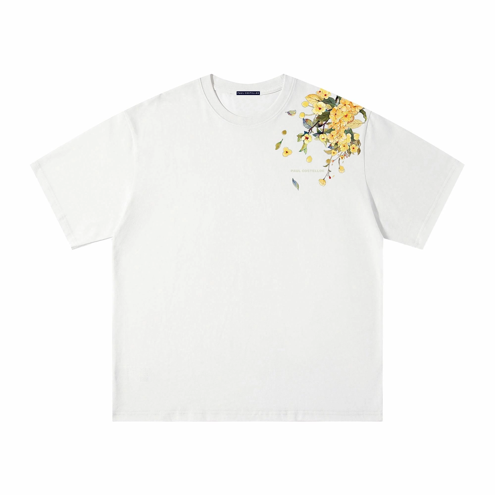 PAUL COSTELLOE T