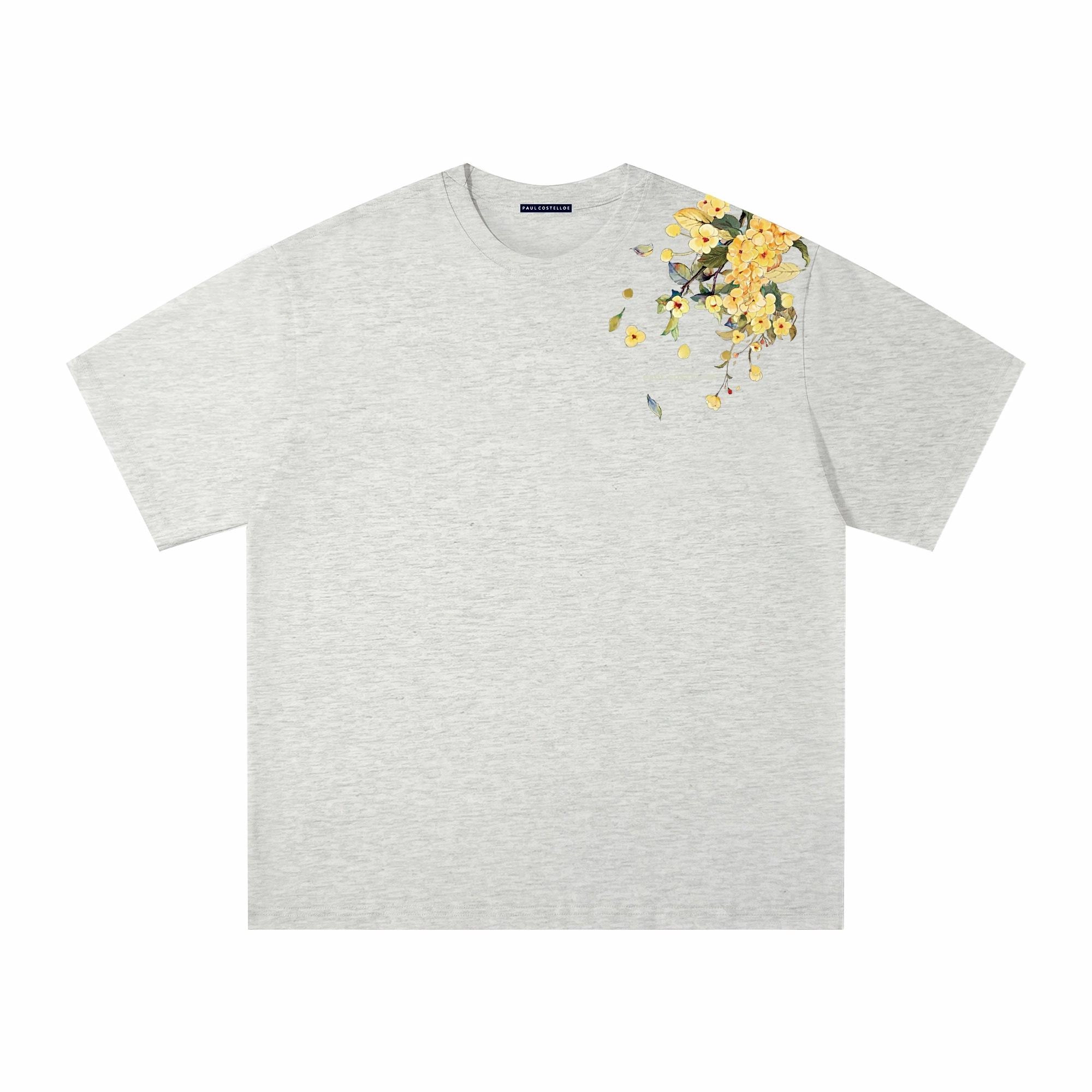 PAUL COSTELLOE T