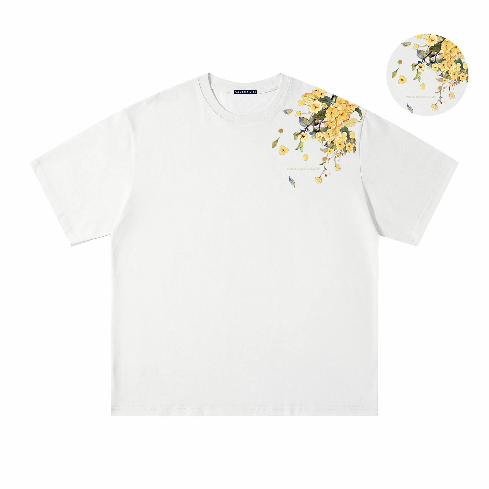 PAUL COSTELLOE T