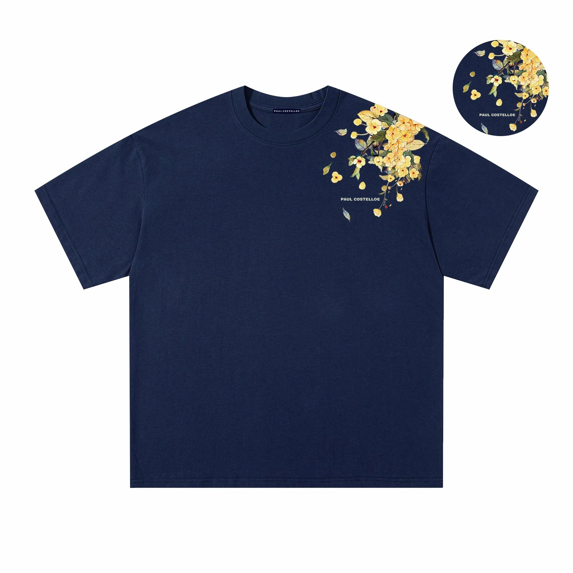 PAUL COSTELLOE T