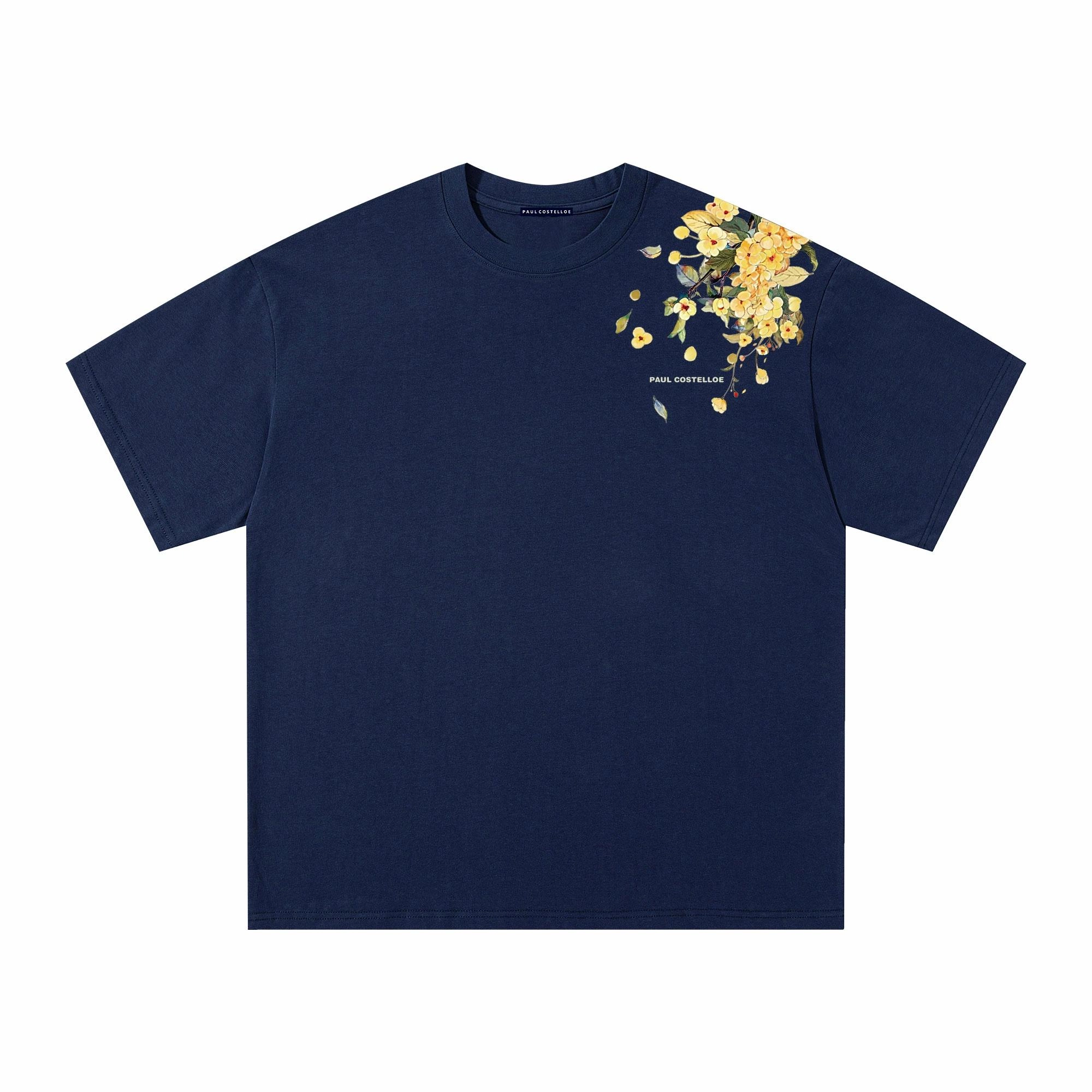 PAUL COSTELLOE T