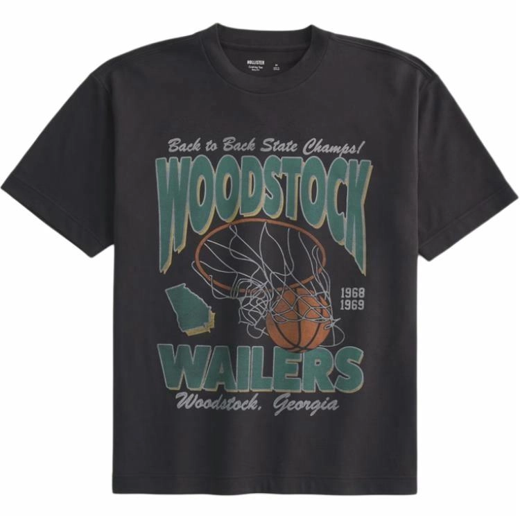 Hollister T