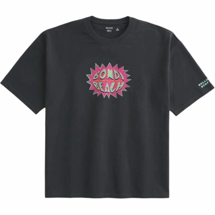 Hollister T