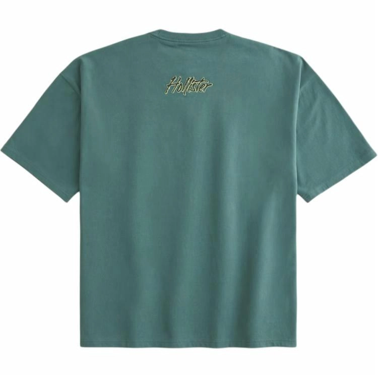 Hollister T