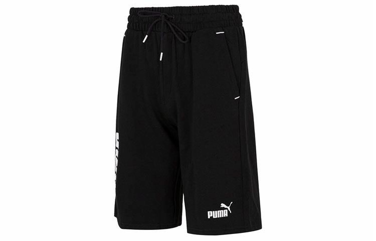 Puma Power Logo
