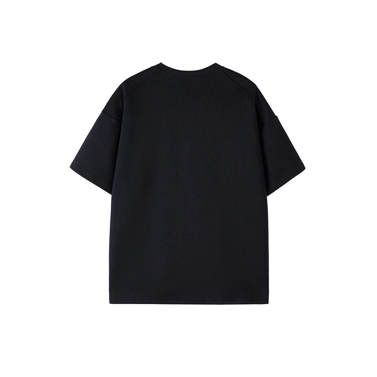 WELTER EXPERIMENT T